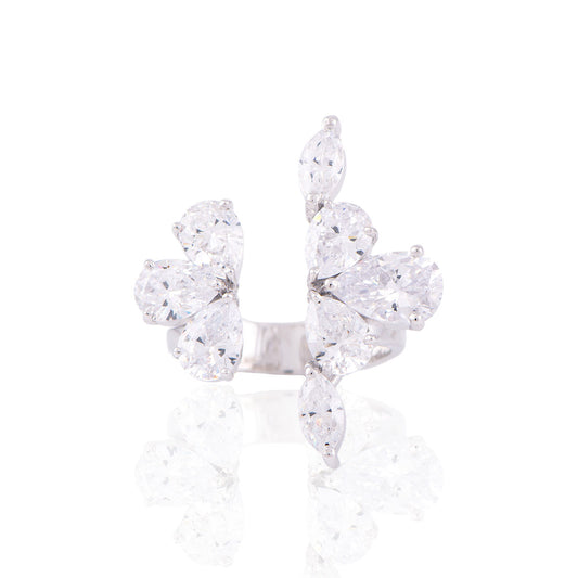 The Nova Ring